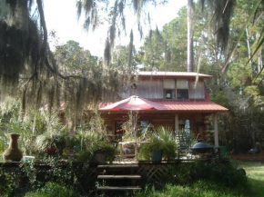 Camp Nina: A great view!